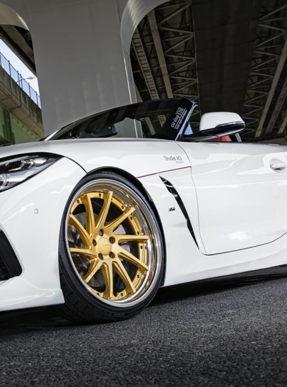 GNOSIS CV