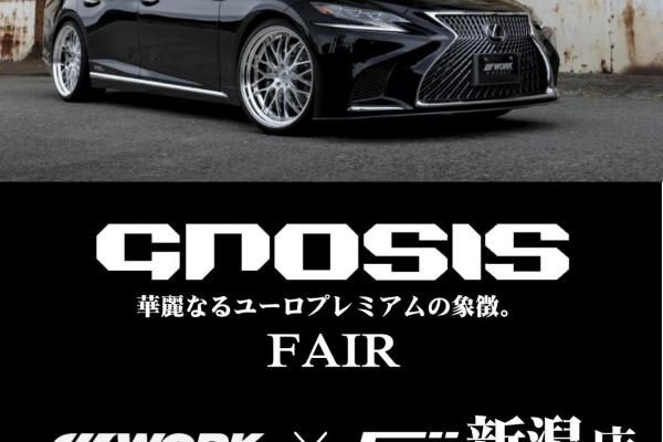 フジ新潟店 GNOSIS FAIR